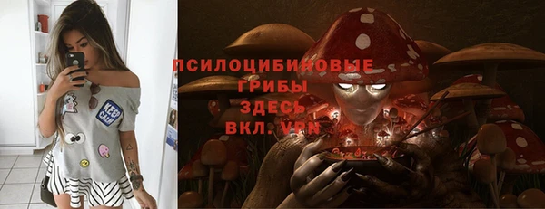 ПСИЛОЦИБИНОВЫЕ ГРИБЫ Магас