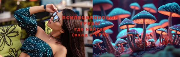 ПСИЛОЦИБИНОВЫЕ ГРИБЫ Магас