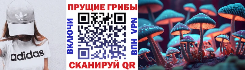 закладки  Мамадыш  Галлюциногенные грибы MAGIC MUSHROOMS 